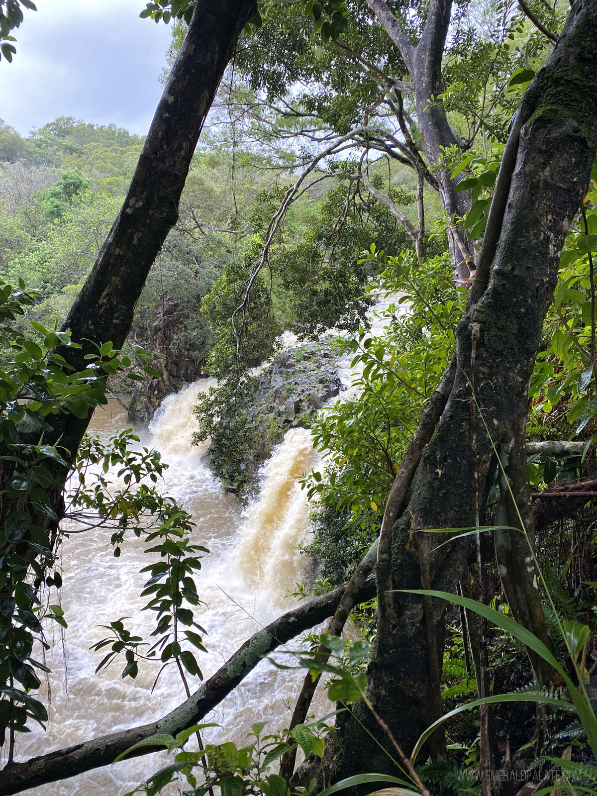 Twin Falls on the Road to Hana, Maui