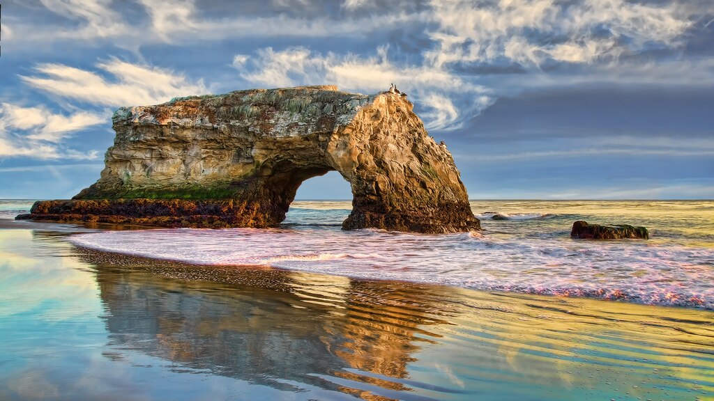 Natural Bridges in Santa Cruz, a must visit on your San Francisco to San Diego road trip