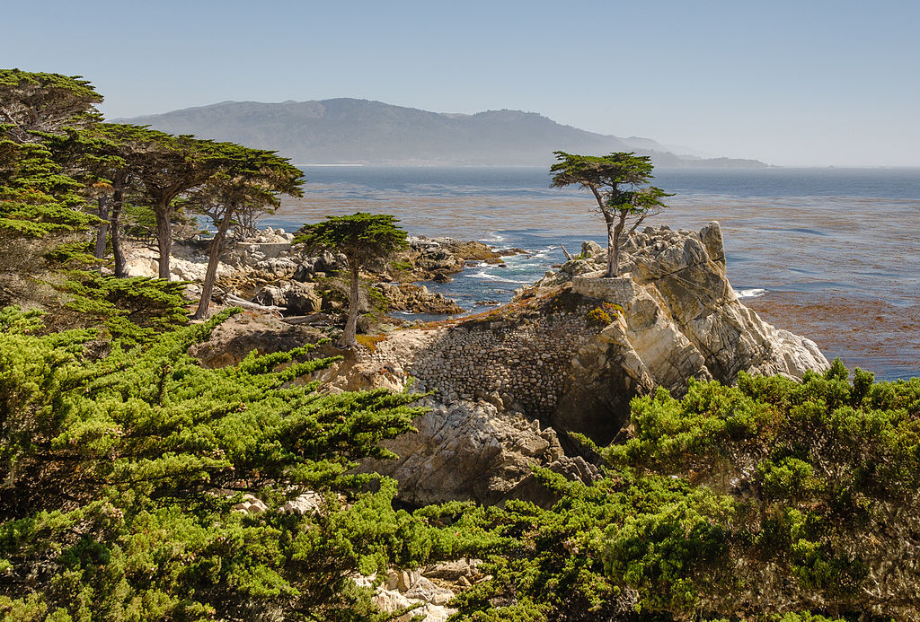 17 mile drive, a must visit on your San Francisco to San Diego road trip