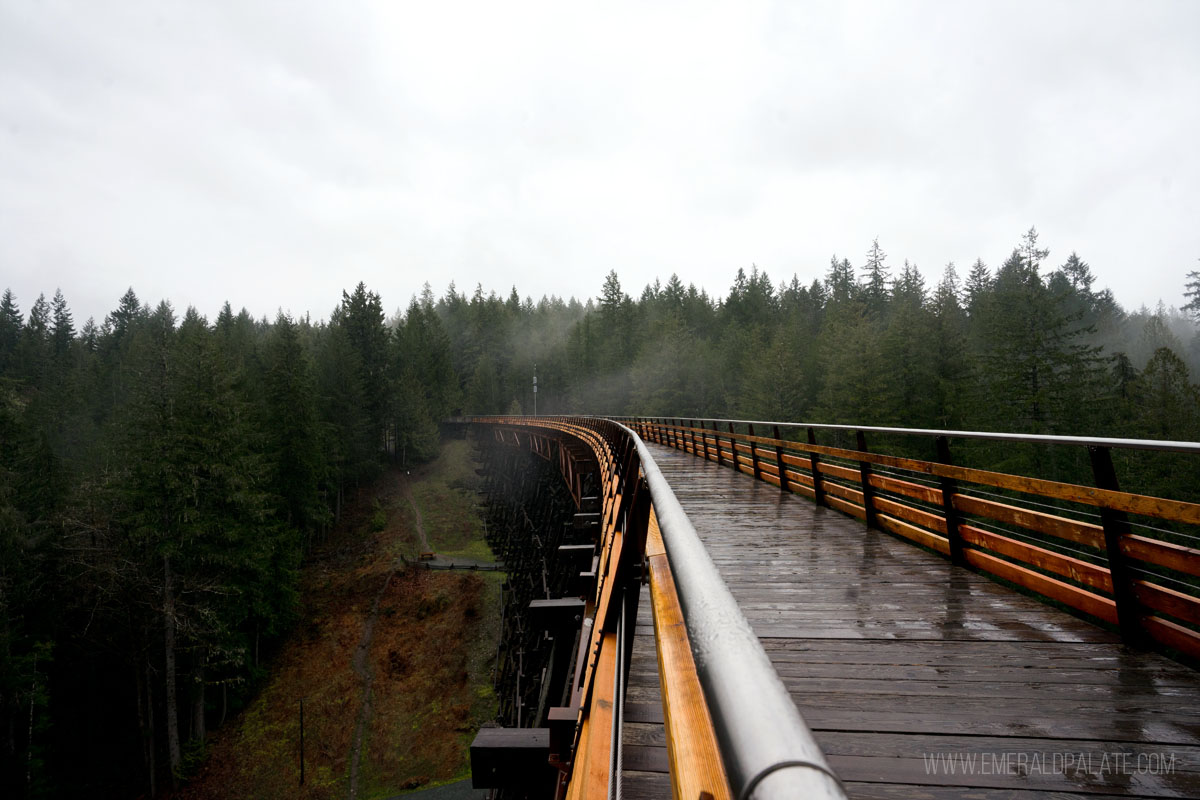 Kinsol Trestle in the rain, one of the most unique things to do in Victoria BC