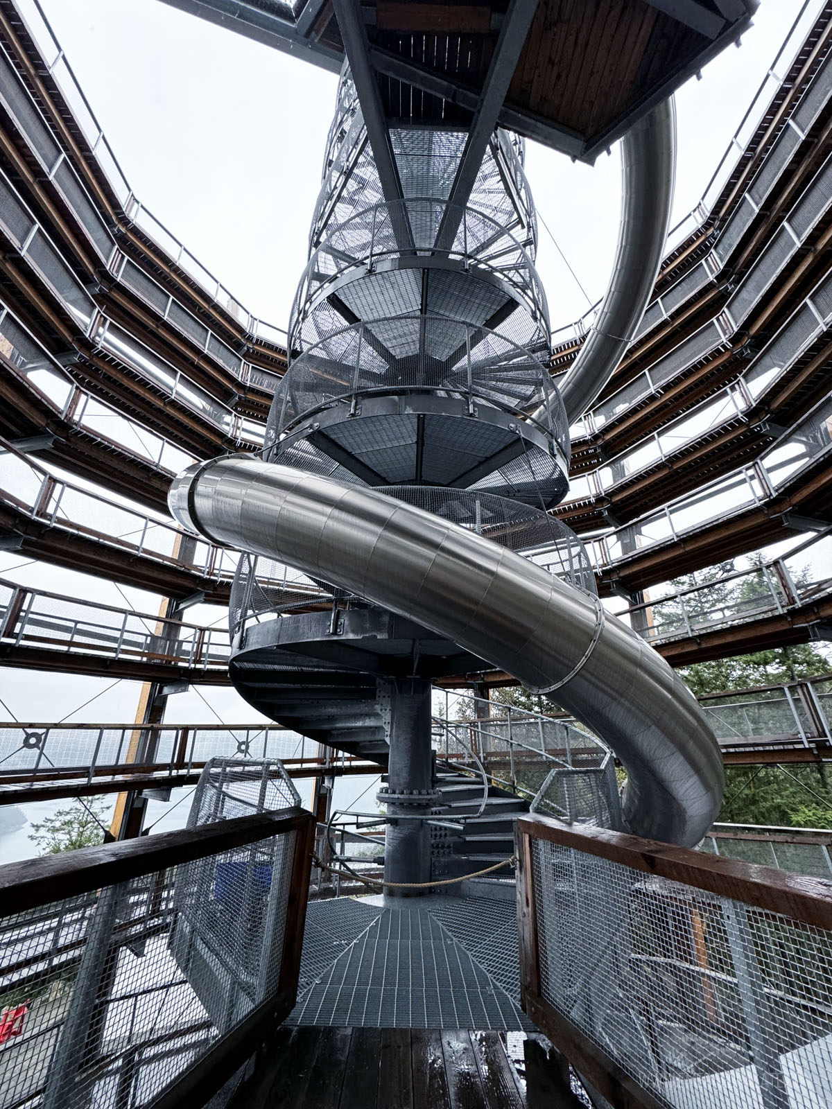 slide at Malahat skywalk, a unique thing to do in Victoria BC