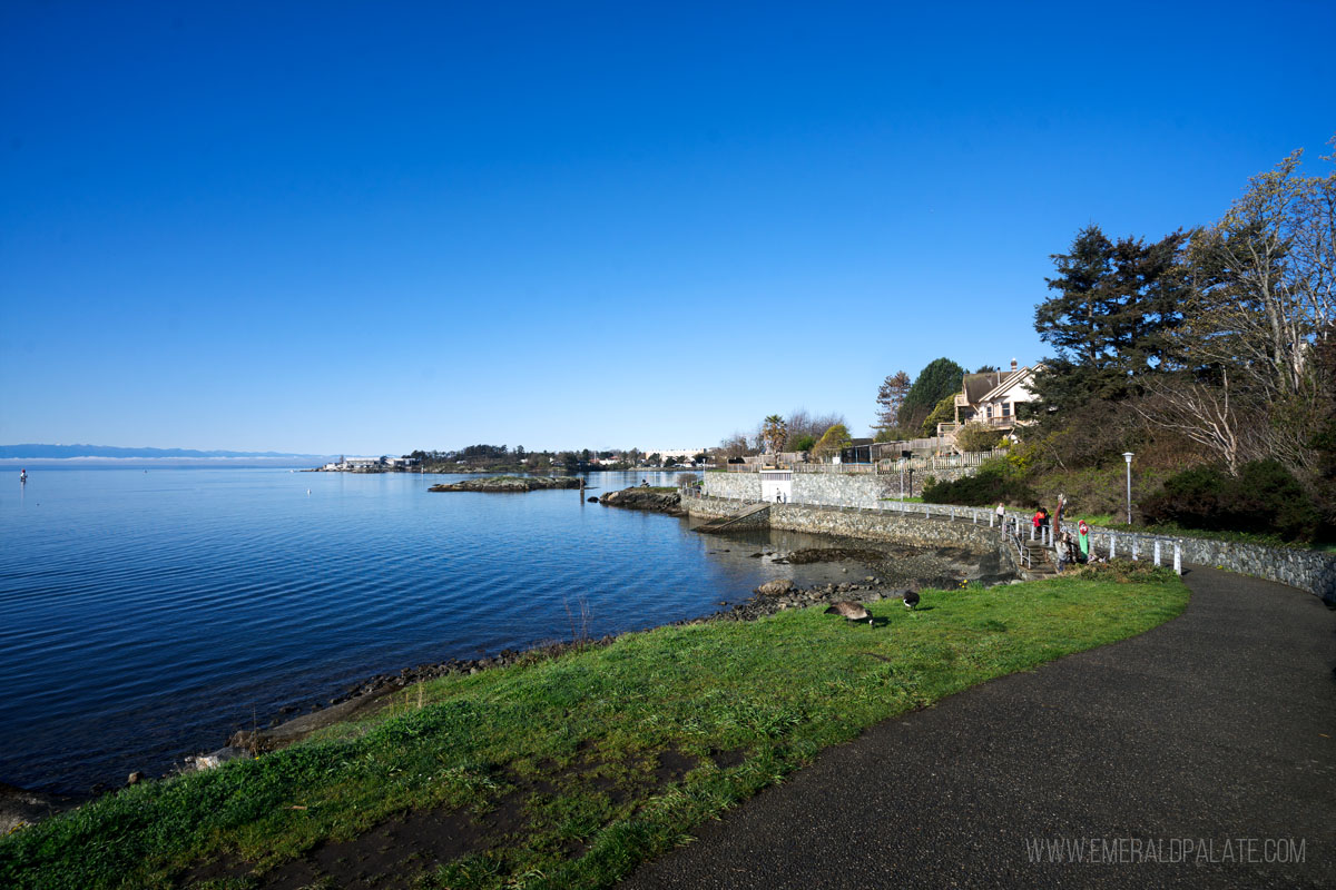 Water views from Songhee Walkway in Victoria BC