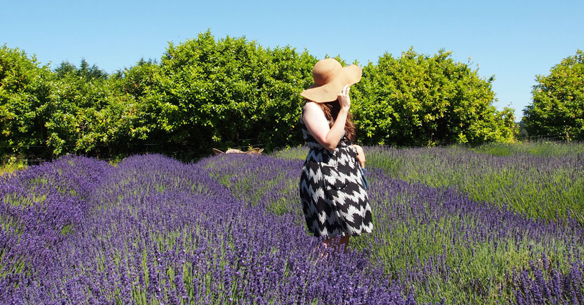 Best summer vacations in washington state hidden gems
