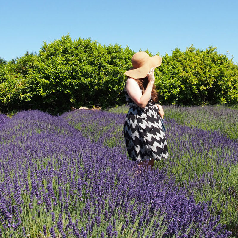 Women in a lavender field with a big floppy hot enjoying one of the best summer vacations in Washington state