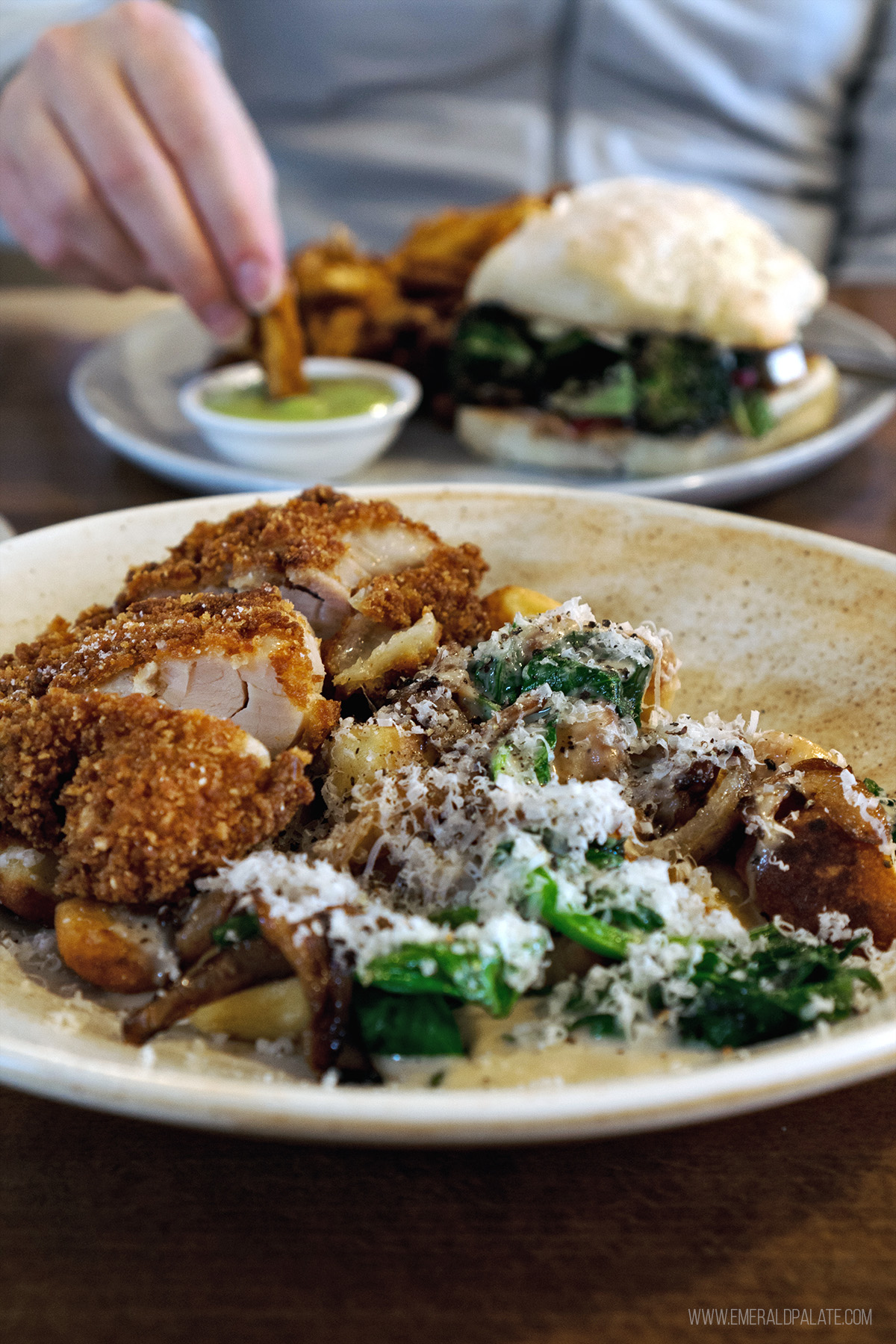 person dipping a fry in sauce in the background of a fried chicken and gnocchi dish