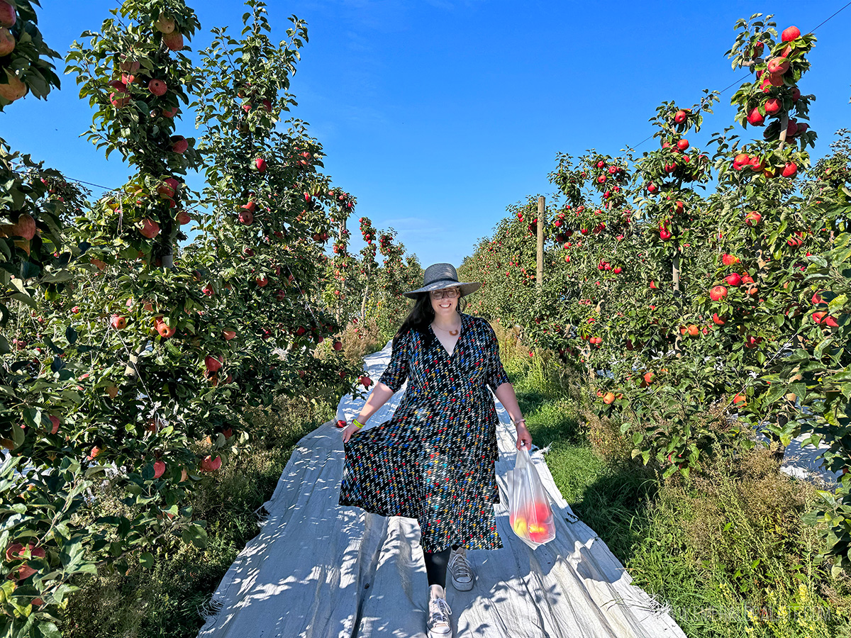woman in an apple orchard at Bellewood Farms in Whatcom County WA