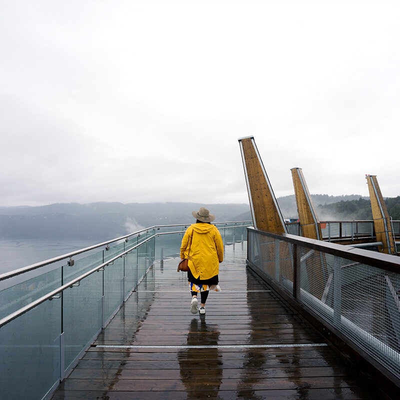 Best Things to Do in Cowichan Valley, A Gem Near Victoria BC