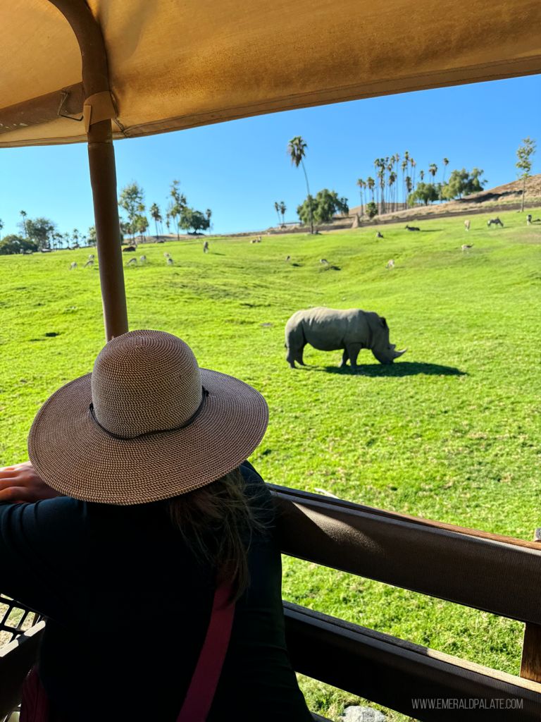 The most fun outdoor activities in san diego the emerald palate