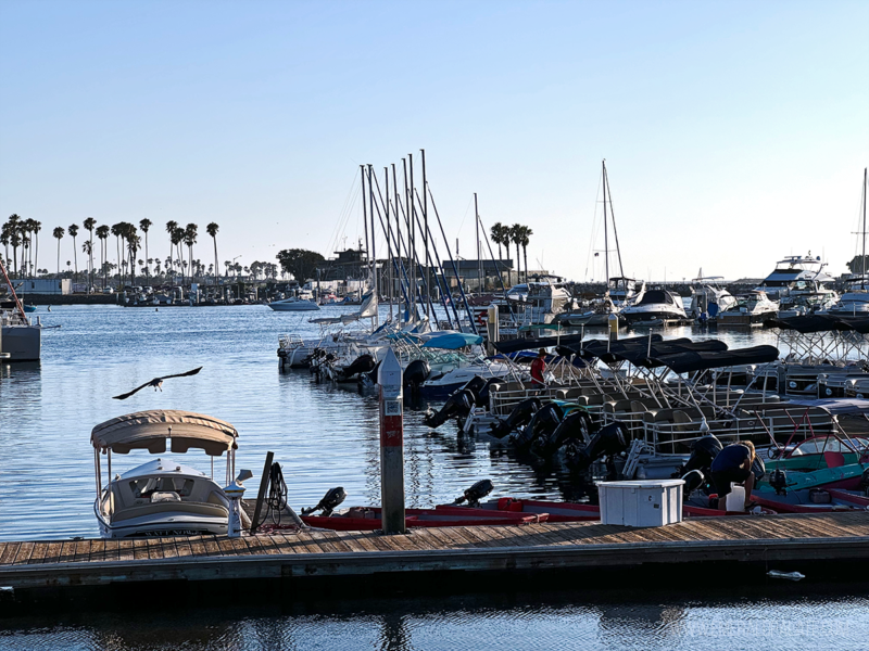 The most fun outdoor activities in san diego the emerald palate