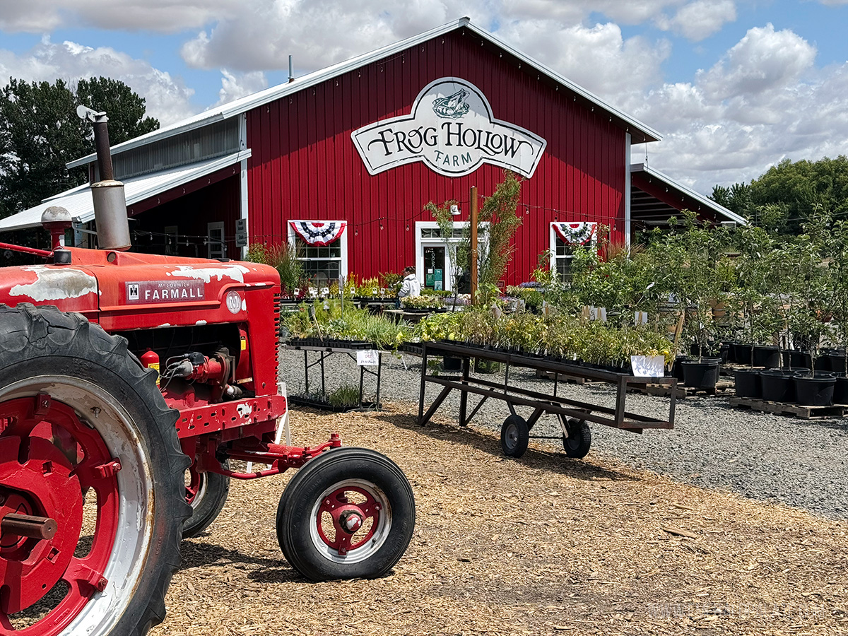 Frog Hollow Farm, one of the best things to do in Walla Walla