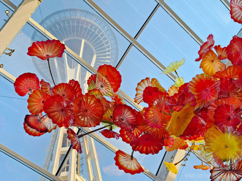 What to Do in Seattle During Spring Break - The Emerald Palate