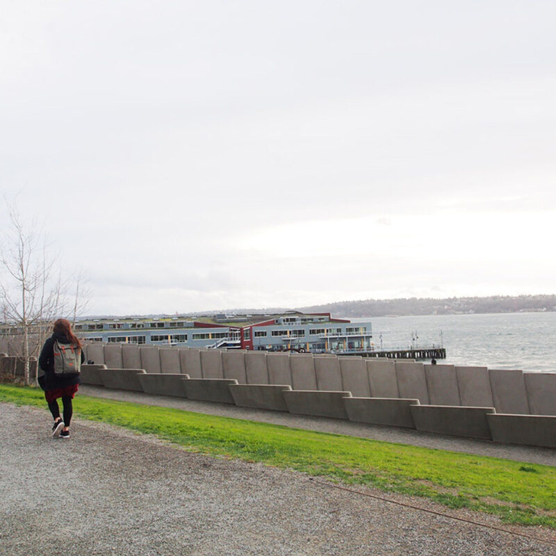 25 Best Things to Do in Seattle in February