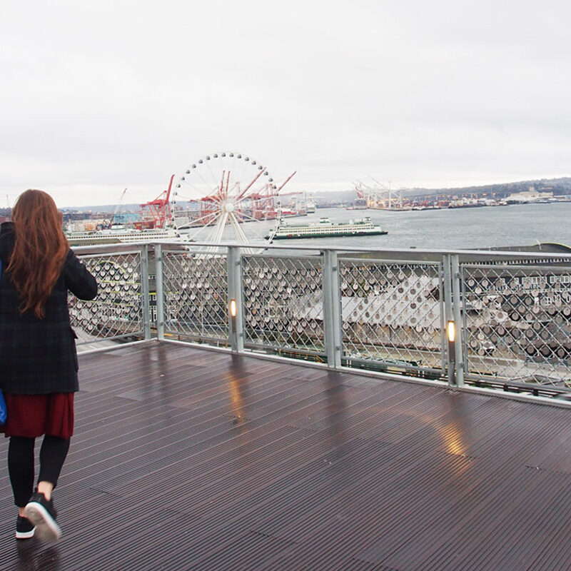 45 Best Things to Do in Seattle in January
