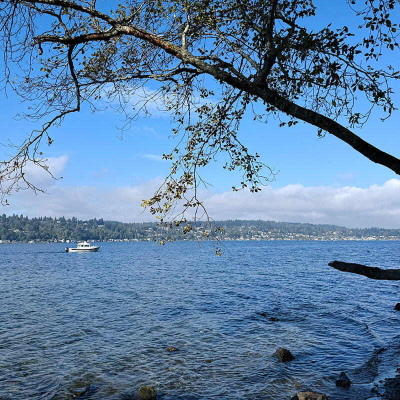 boat on Lake Washington, one of the best things to do in Eastside Seattle