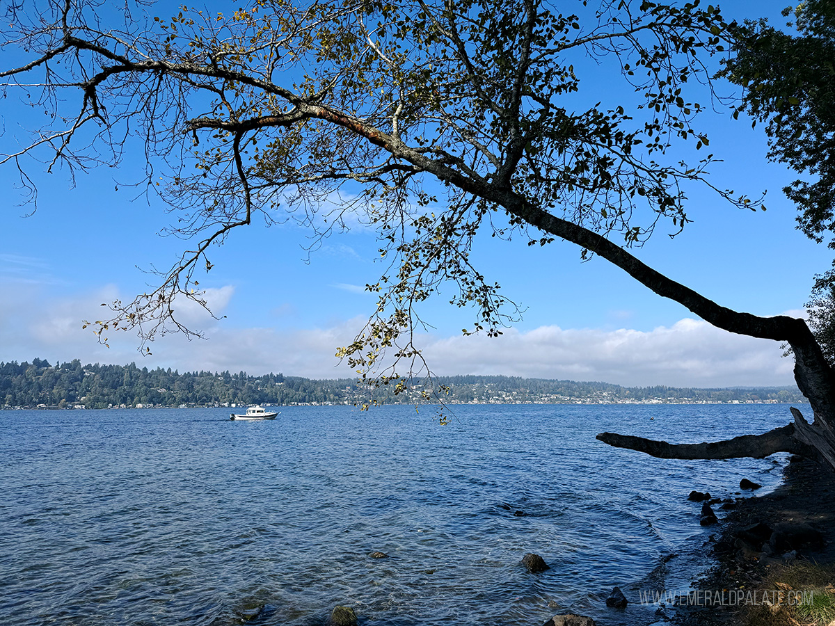 Boat on Lake Washington, one of the best things to do in Eastside Seattle