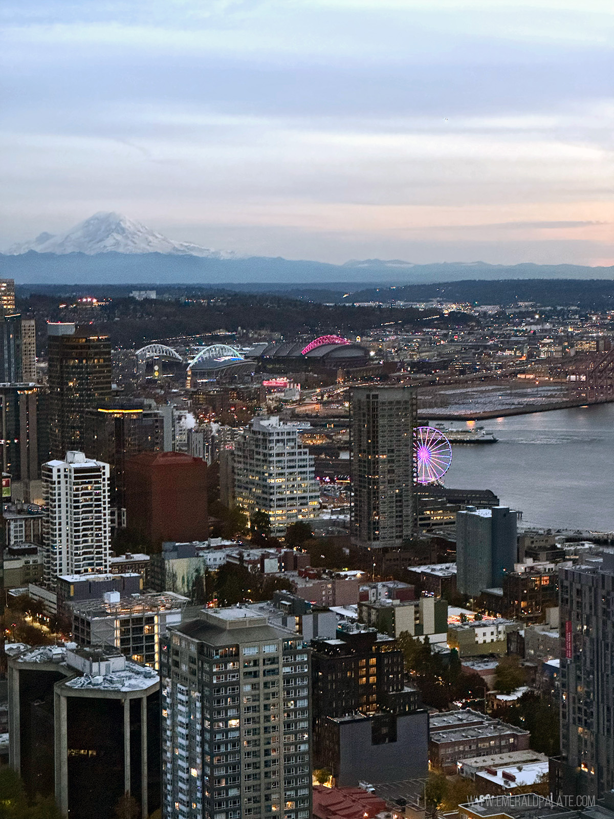 View of downtown from the Space Needle, one of the best things to do in Seattle with kids