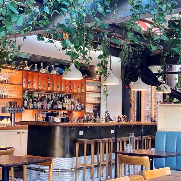 17 Best Seattle Wine Bars for Interesting Pours & Vibes