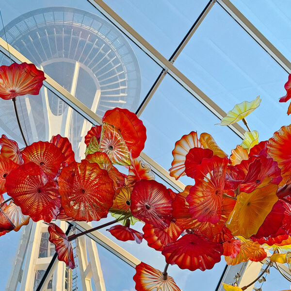 20 Best Tours in Seattle As Told by a Local