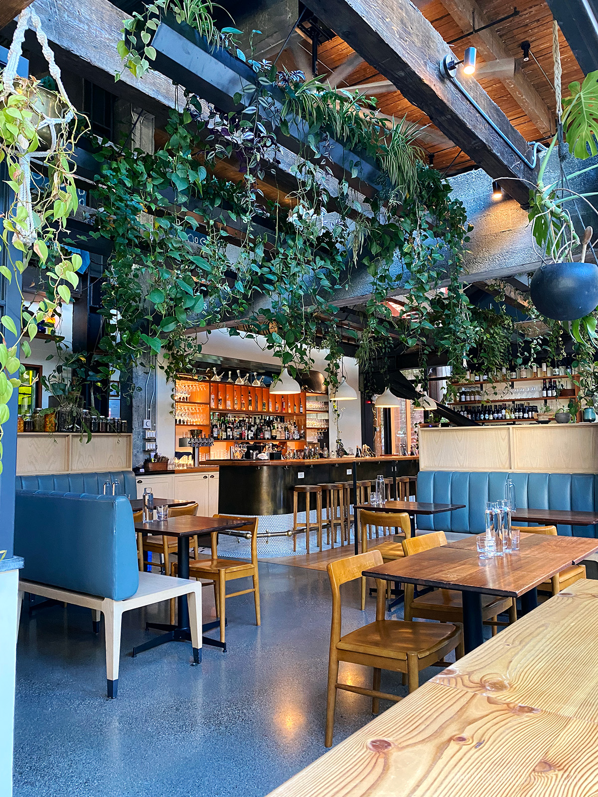 inside Light Sleeper, one of the best Seattle wine bars