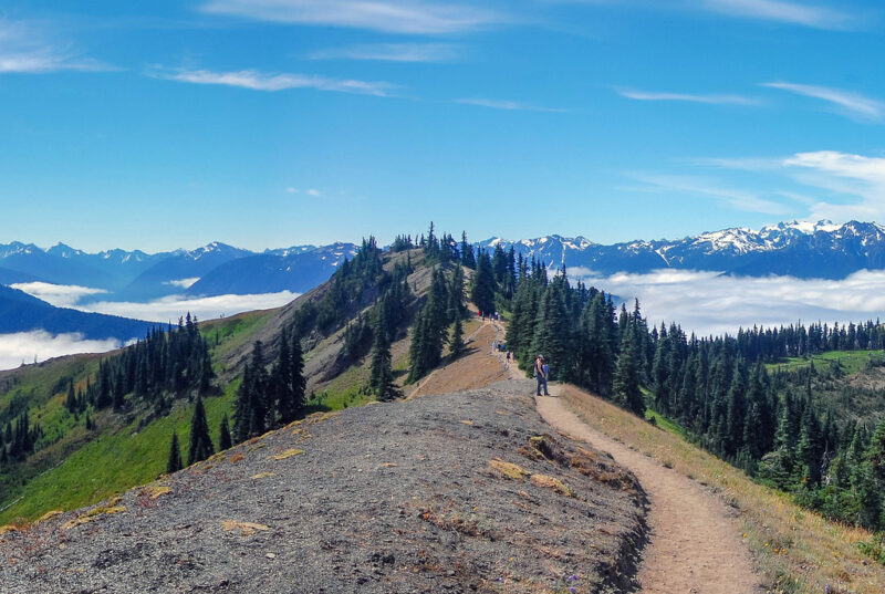 5 National Parks in the Pacific Northwest to Visit in Your Lifetime ...