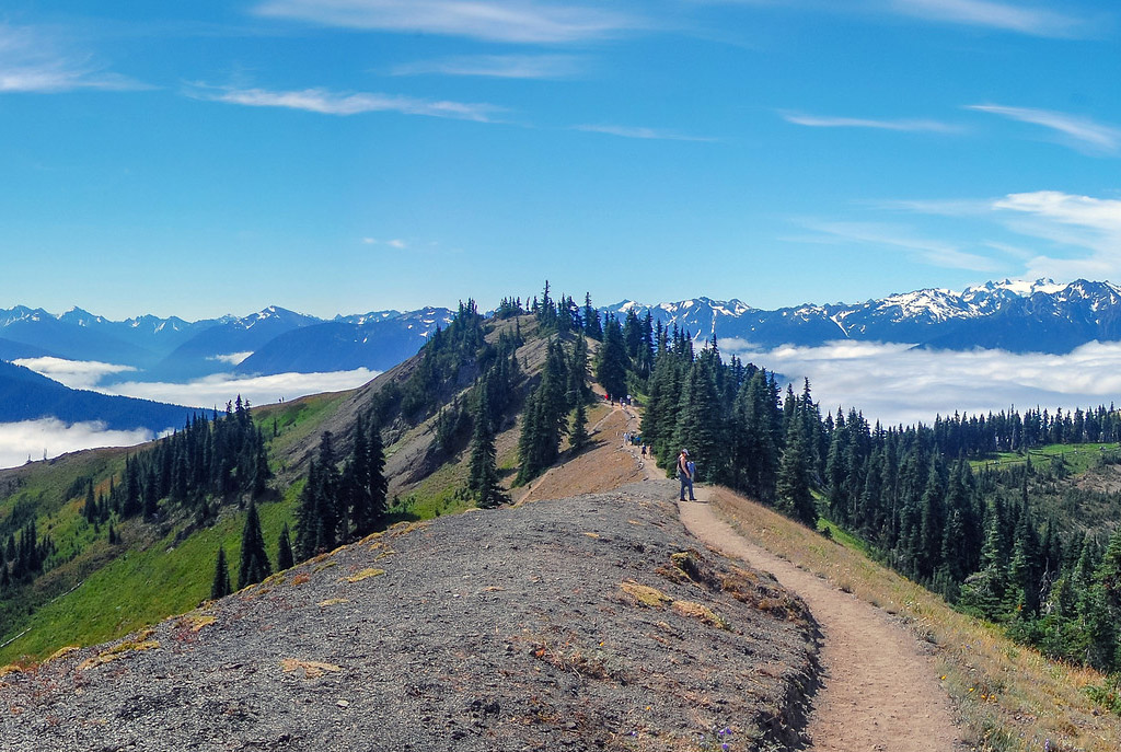 Hurricane Ridge in one of the best national parks in the Pacific Northwest