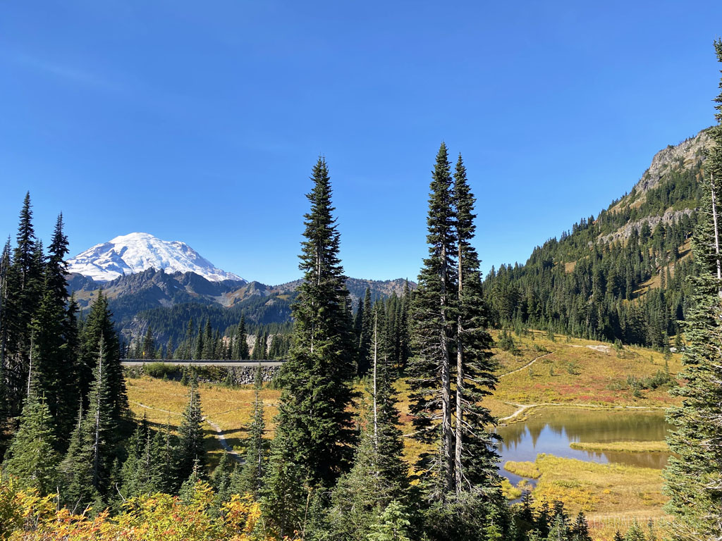 Mount Rainier Mount Rainier peaking through the trees