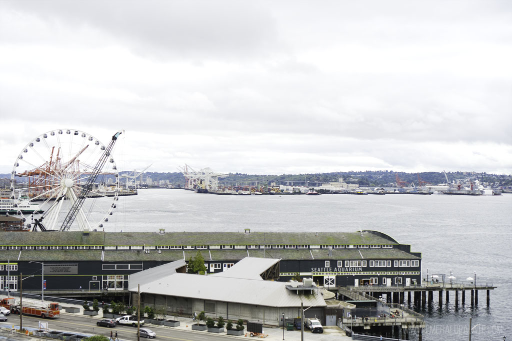 view of the waterfront, what to do at Pike Place Market