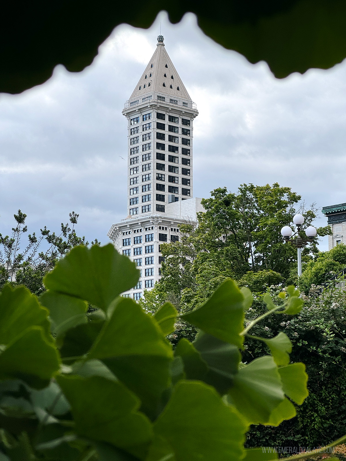 View of Smith Tower between the trees, an Instagrammable spot in Seattle