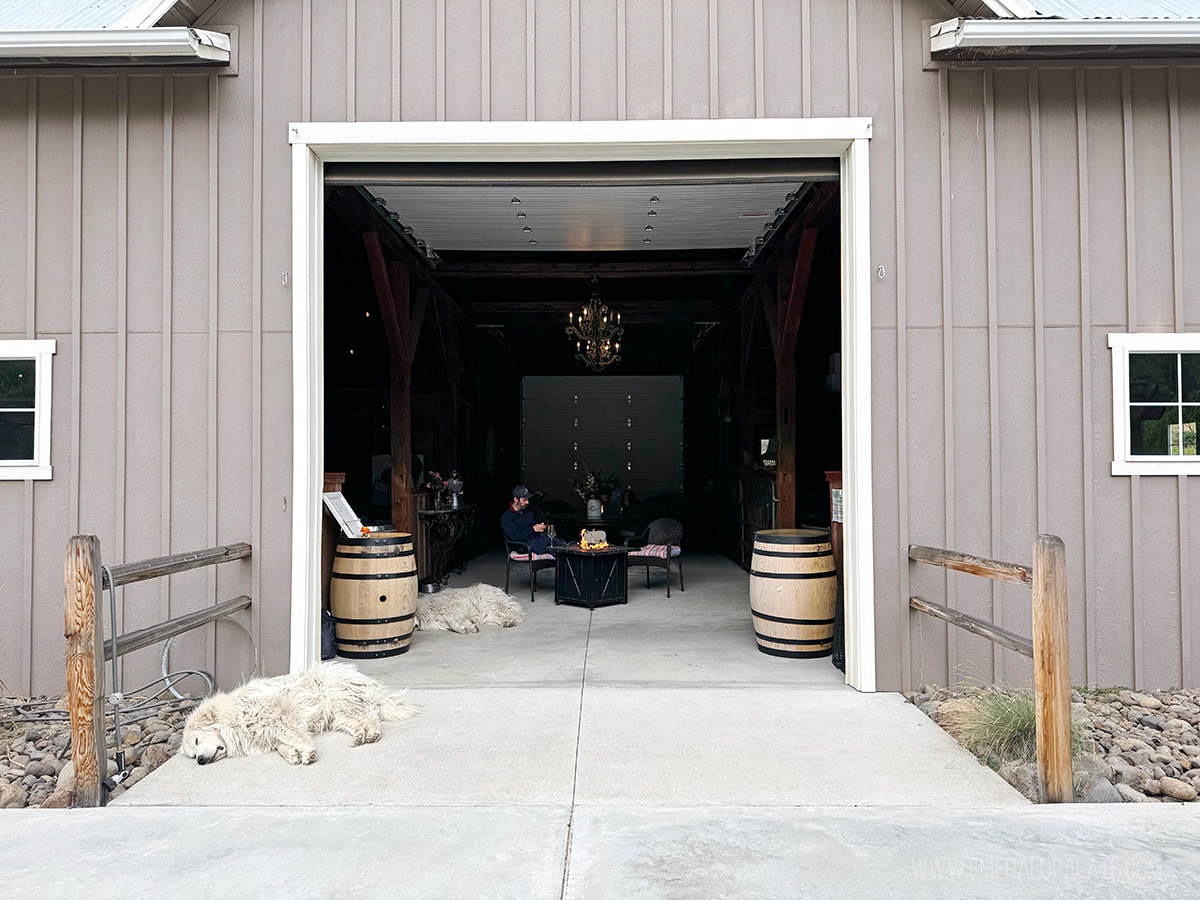 winery dogs in Walla Walla, one of the best dog-friendly vacations in the PNW