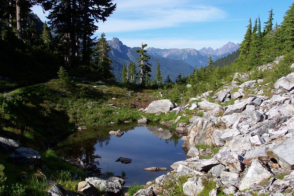 Enchanted Valley, one of the best hikes in Olympic National Park