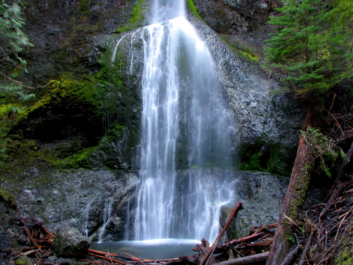 Marymere Falls in Olympic National Park