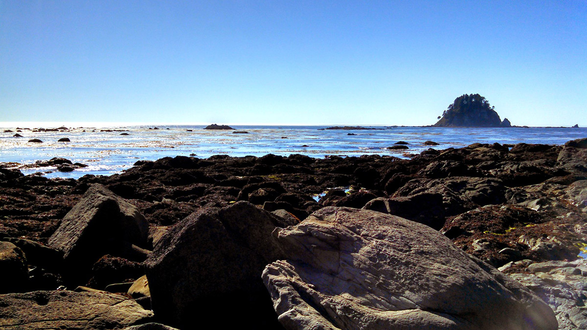 Cape Alava hike in Olympic NP