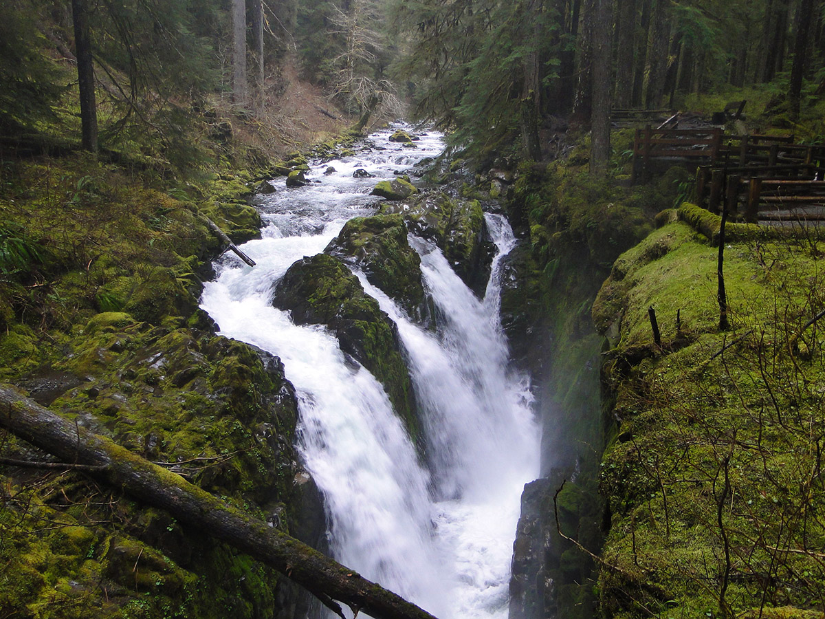 Sol Duc Falls, one of the best Olympic National Park hikes