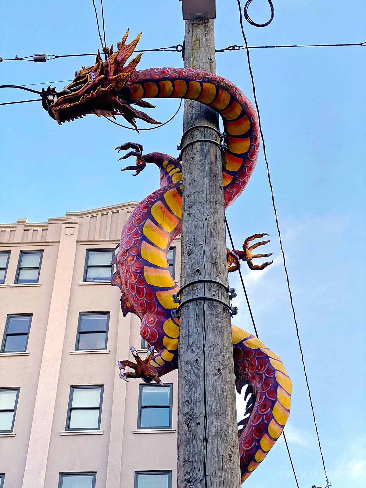 dragon climbing a pole dragon climbing a pole in Seattle's Chinatown International District