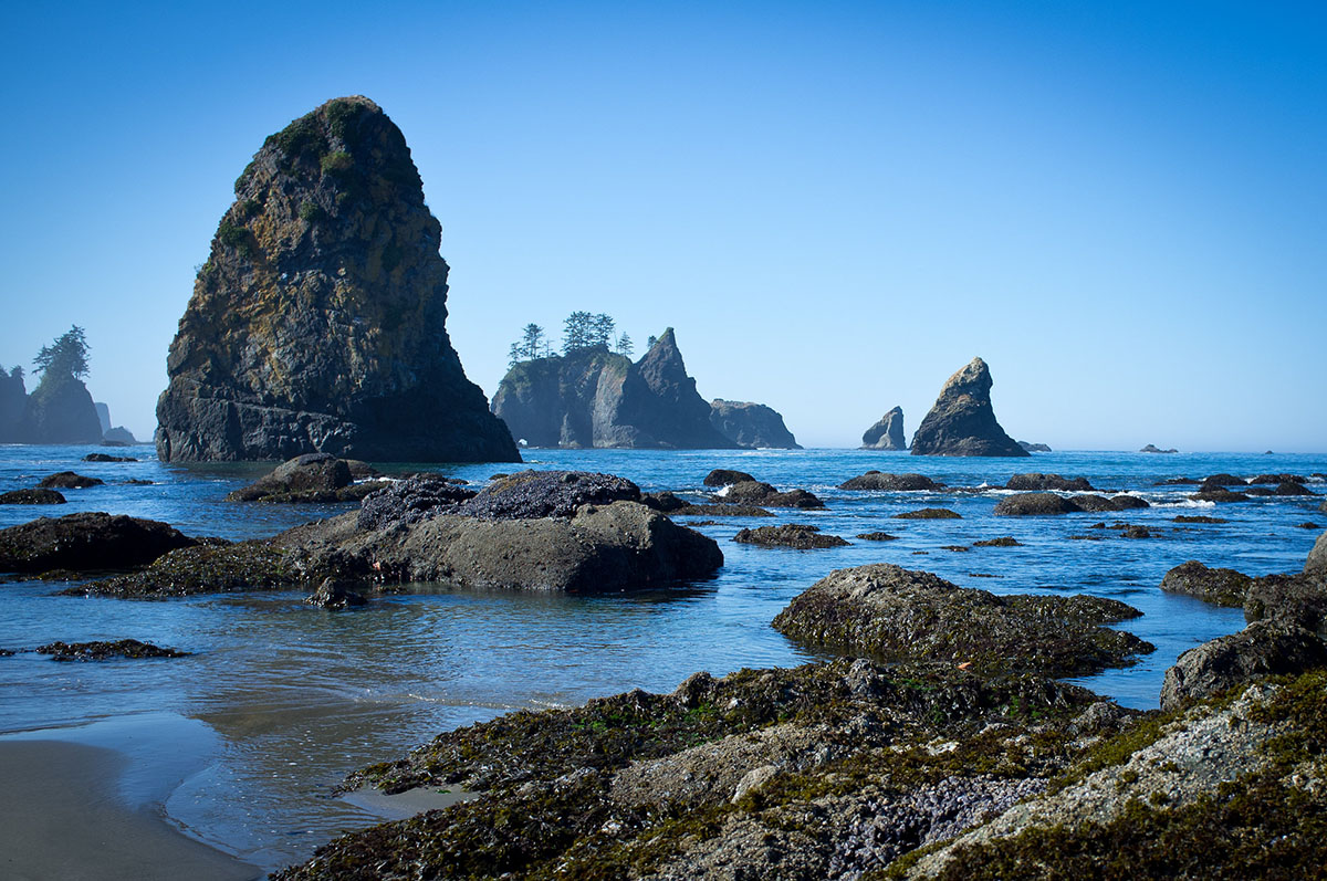 Shi Shi Beach Shi Shi Beach haystacks