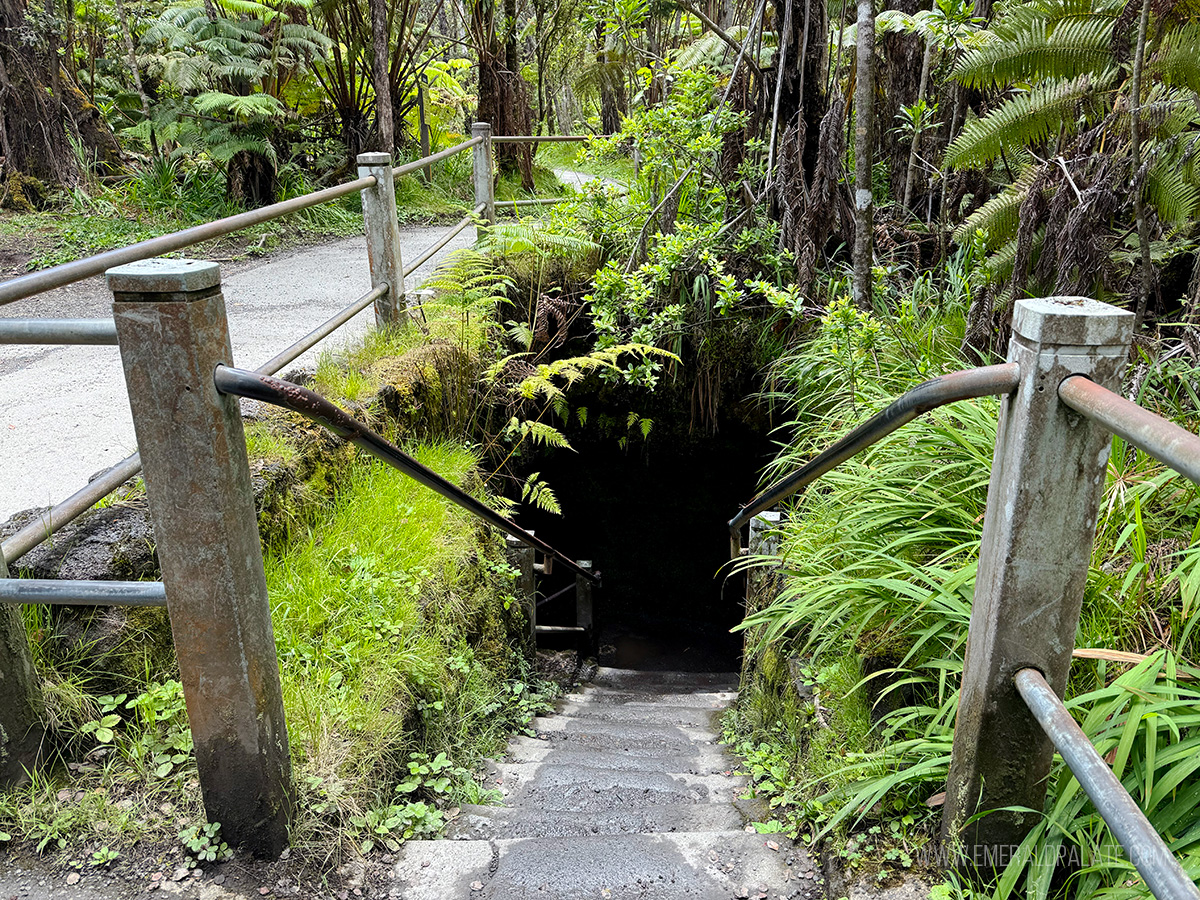 entrance into Thurston Lava Tube in Volcanoes National Park in Hawaii