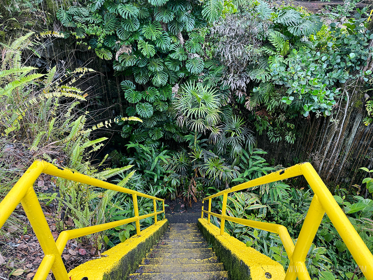 stairs leading down to Kaumana Caves, one of the best things to do on the Big Island in Hawaii