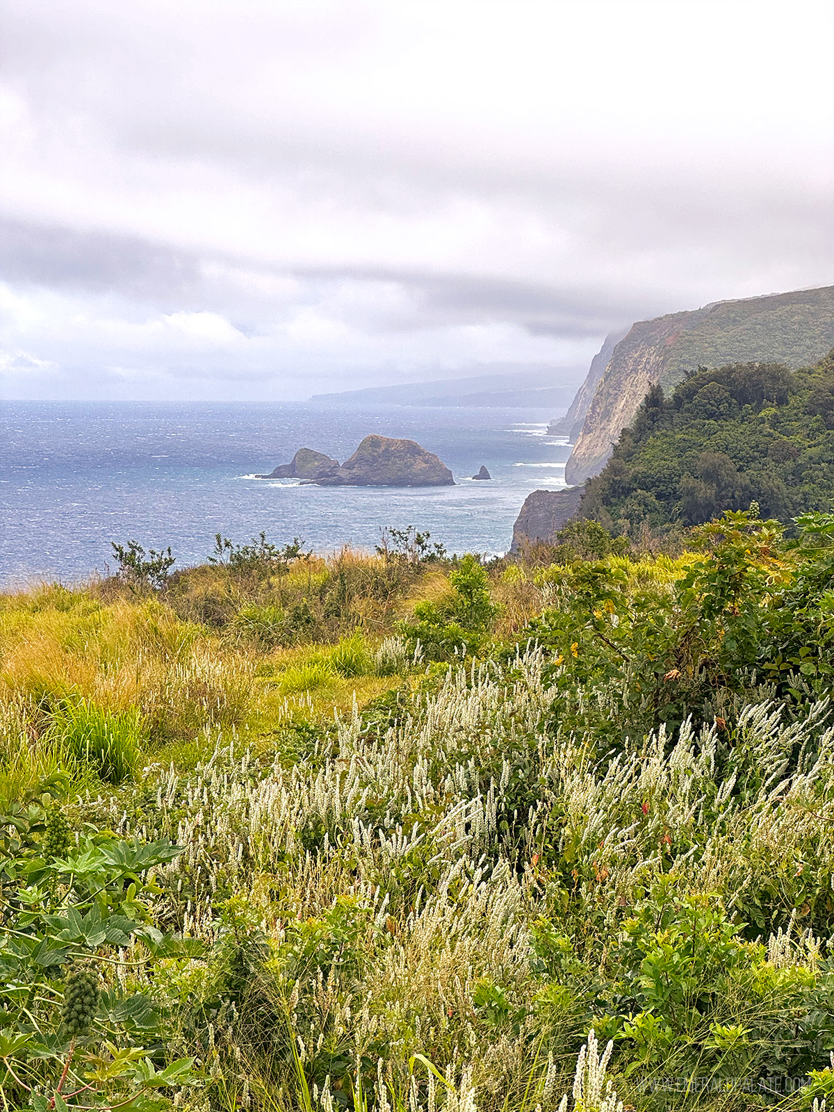 Pololu Valley Lookout, one of the best things to do on the Big Island in Hawaii