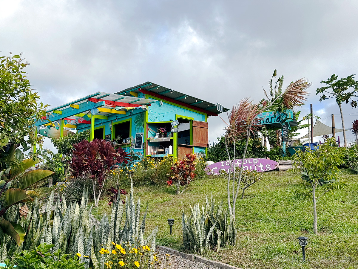 Waipi'o Fruit Stand, one of the best things to do on the Big Island in Hawaii