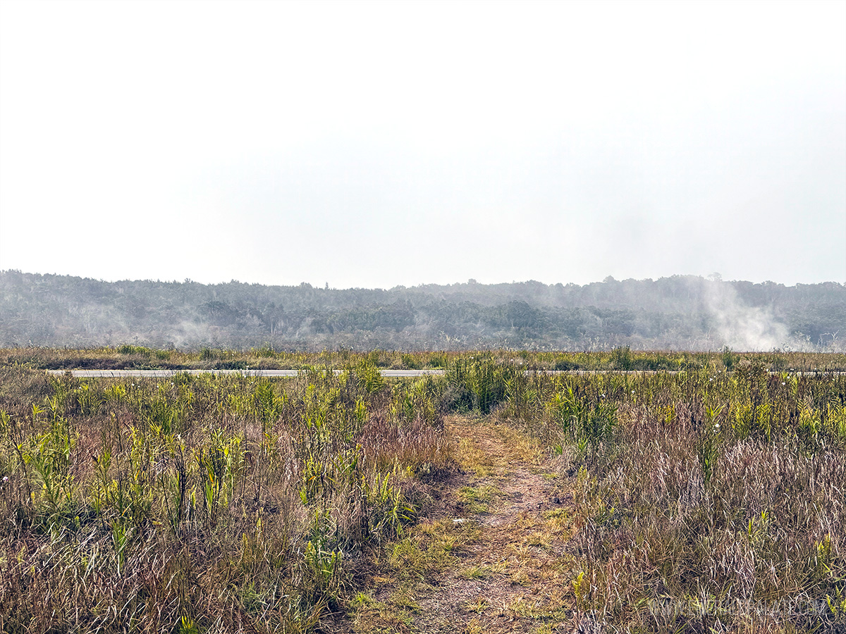 Steam Vents in Hawaii Volcanoes National Park
