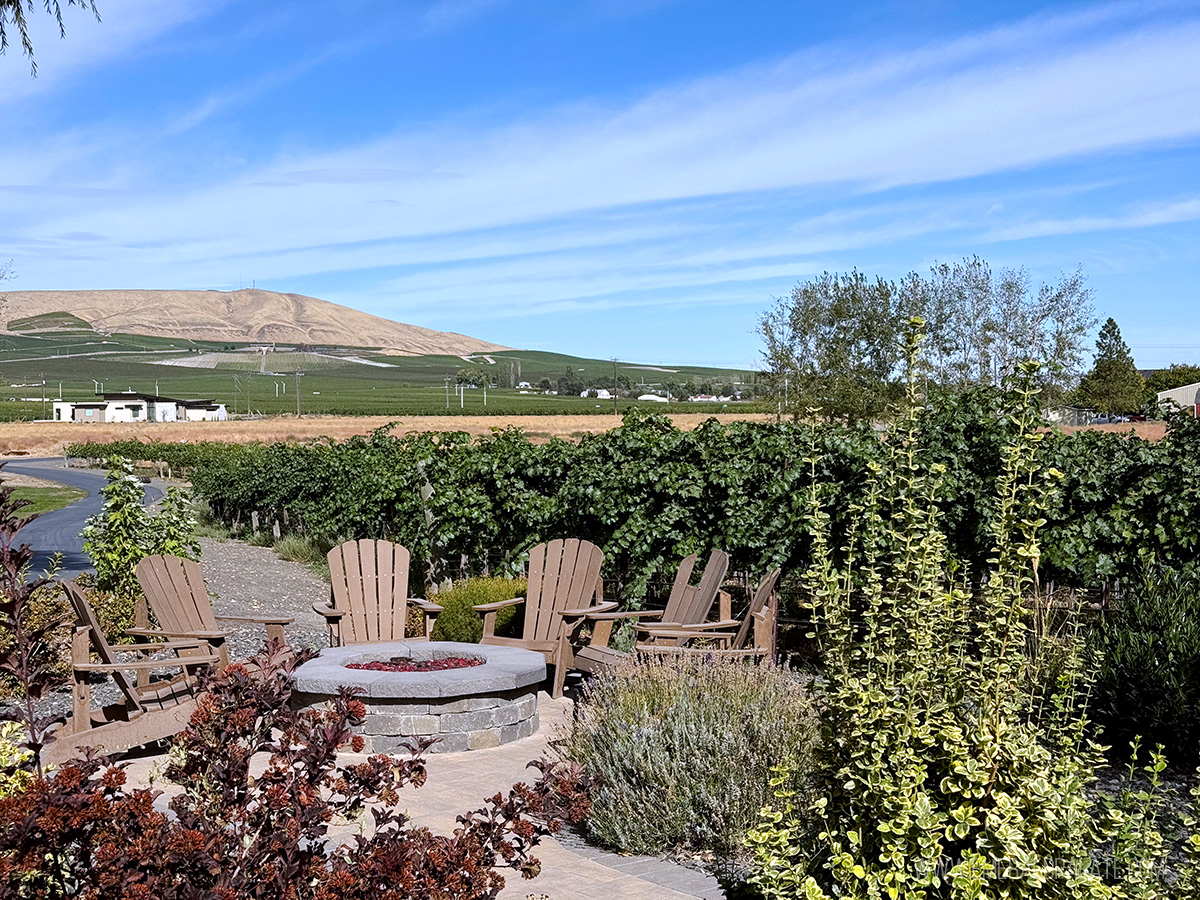 Adirondack chairs surrounding a fire pit with vineyards in the background