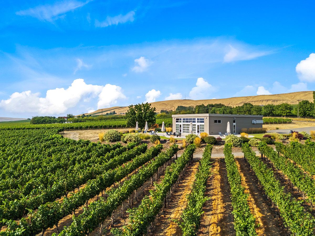 Rows of vineyards leading to a Yakima tasting room