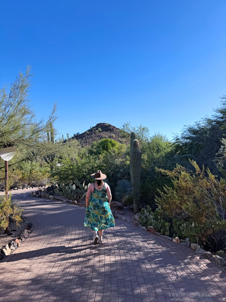 woman walking through the Desert Botanical Garden, one of the best things to do in Scottsdale, Arizona