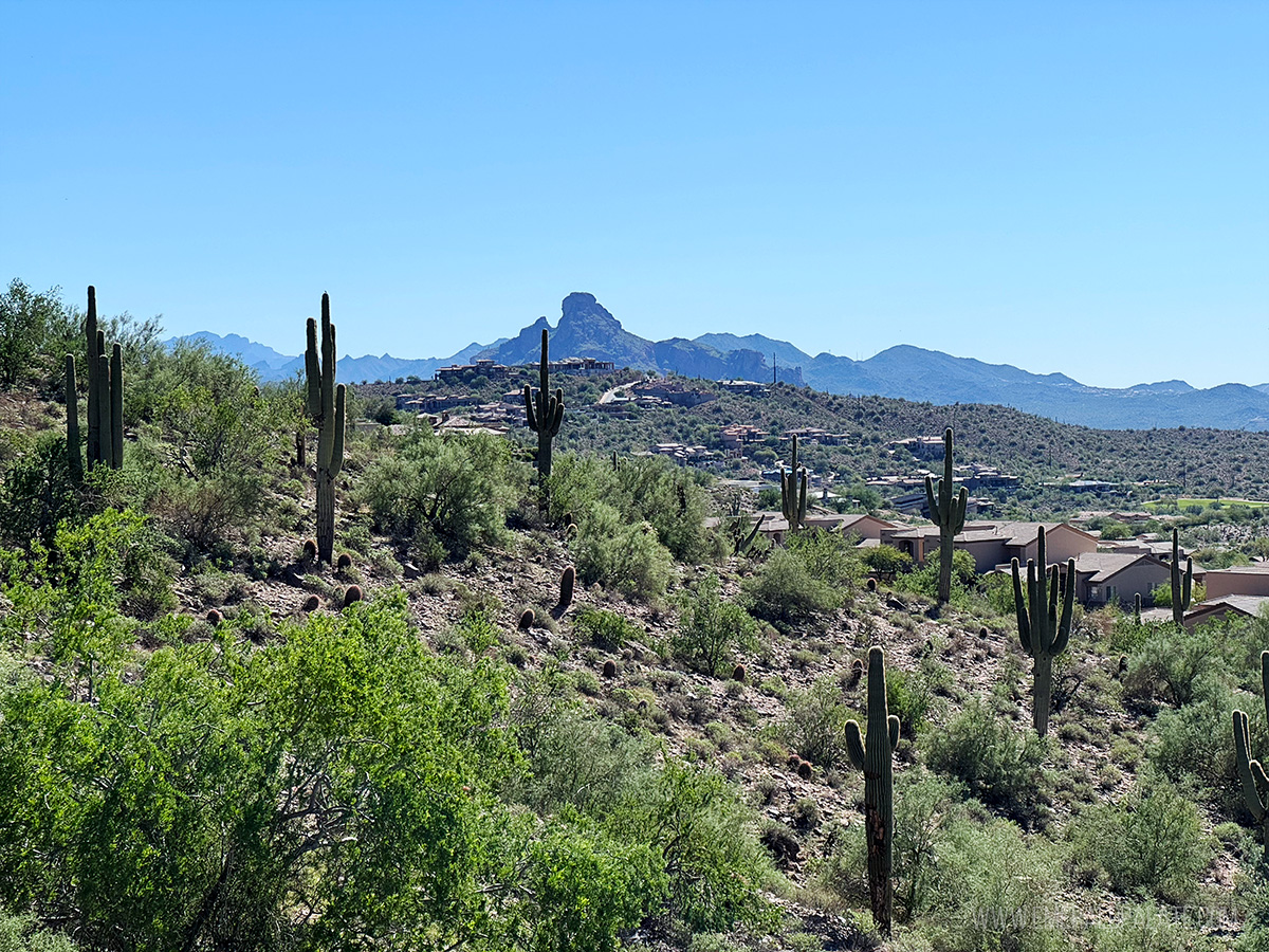 view of the arid desert landscape in Arizona