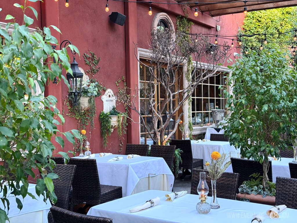 outdoor patio that looks like a garden at one of the most unique Scottsdale restaurants