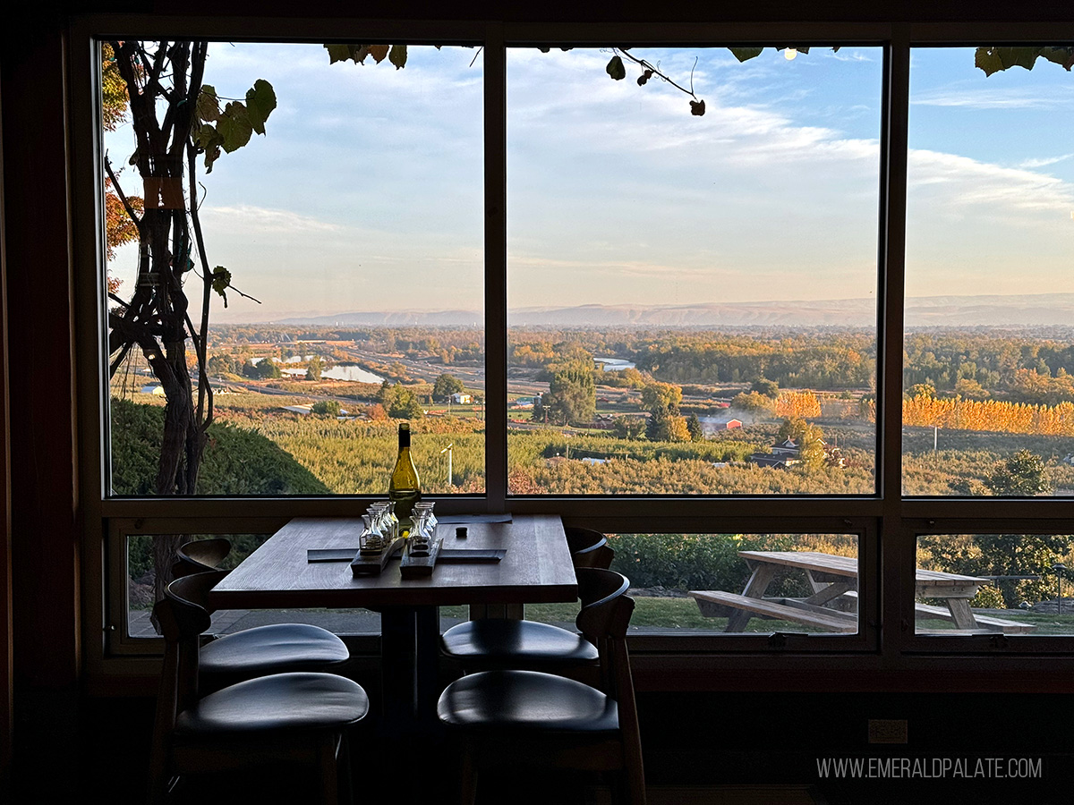 inside Freehand Cellars tasting room with views from its windows