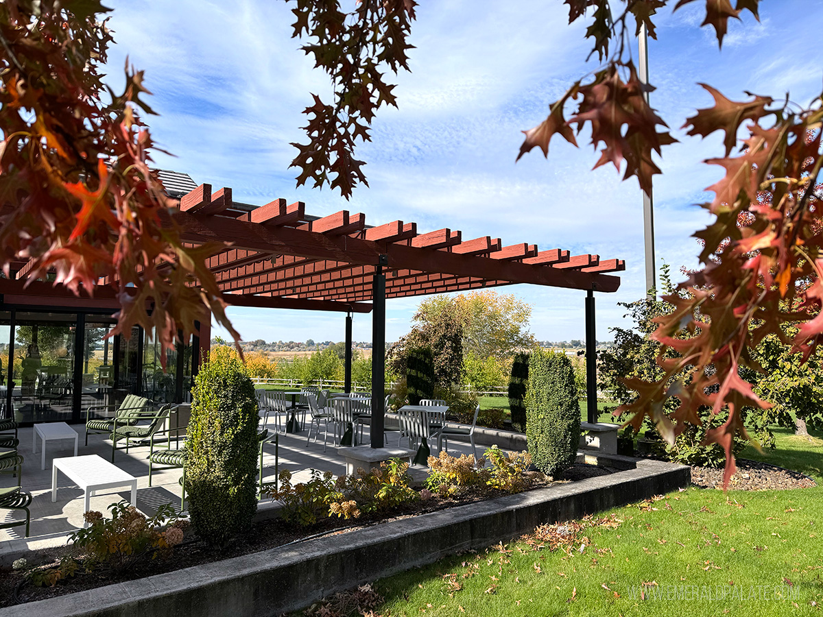 Tirriddis' Sparkling Wine's outdoor patio as seen through fall leaves