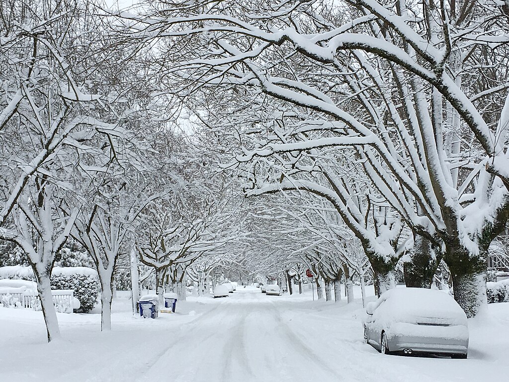 Portland Oregon covered in snow