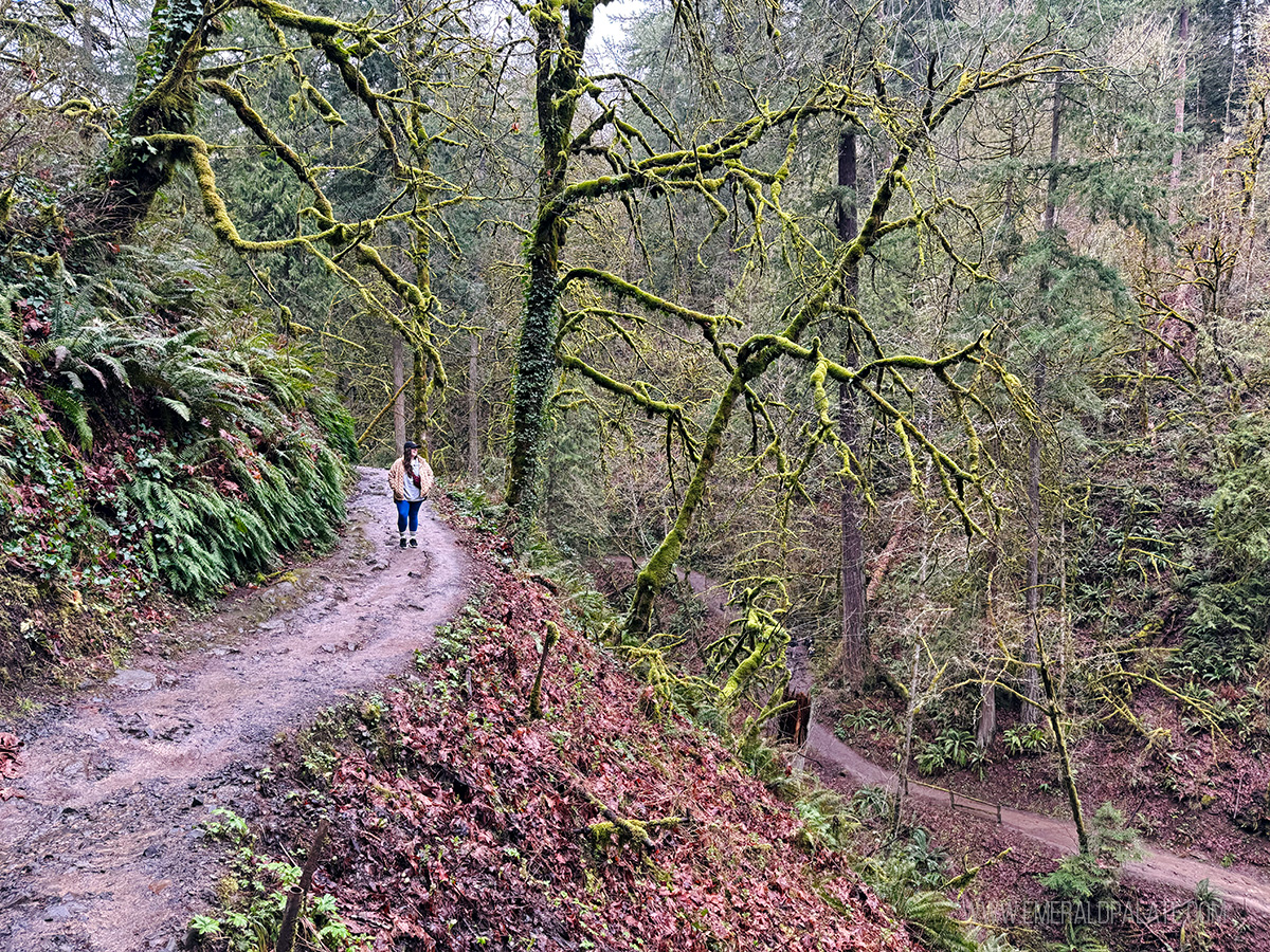 woman walking on a trail in the woods in PDX