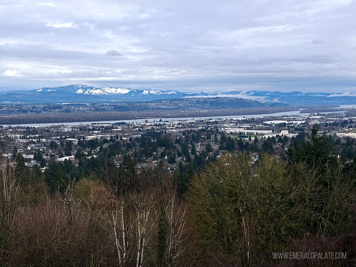 views from a lookout, one of the best things to do in Portland Oregon